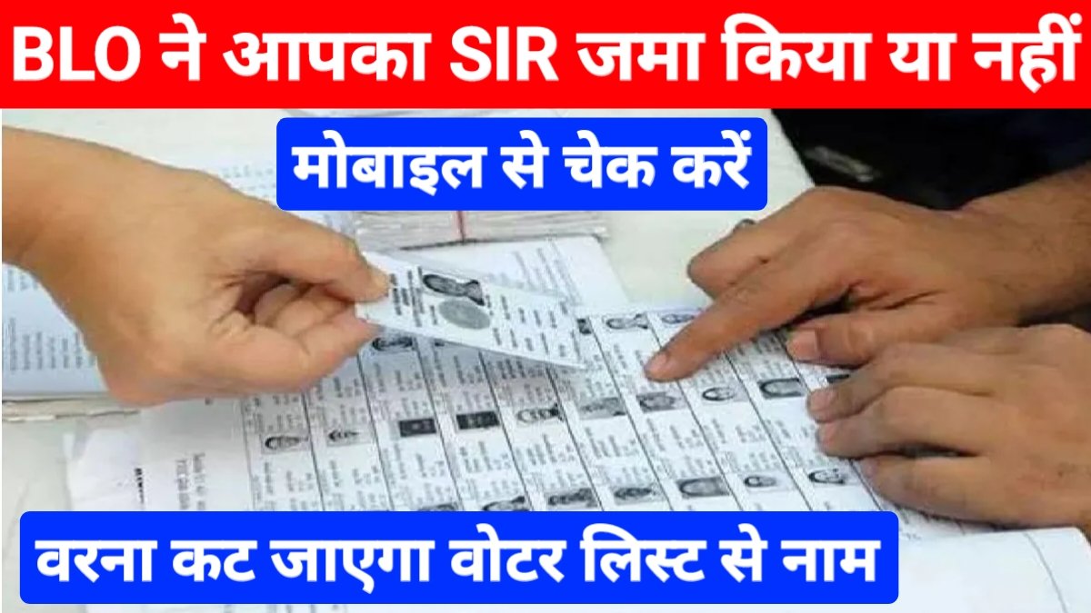 SIR Form Check Online